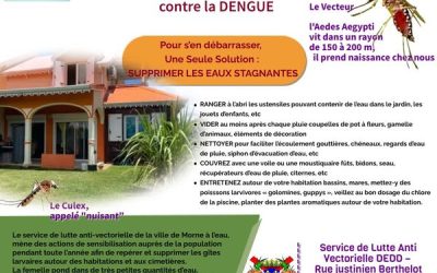 Lutte contre la prolifération de la dengue
