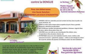 Campagne de prévention contre la Dengue