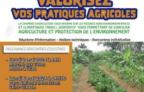 Réunion d’information avec la chambre d’agriculture de la Guadeloupe