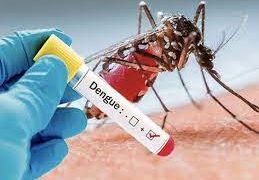 Bonnes pratiques pour lutter contre la Dengue